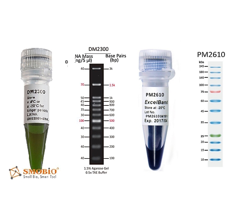 انواع لدرها و مارکرهای RNA, DNA و پروتئین