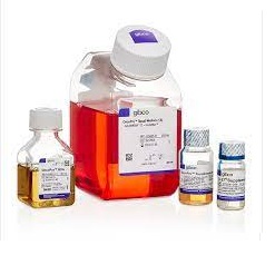 افزودنی ها و مکمل های کشت سلولی