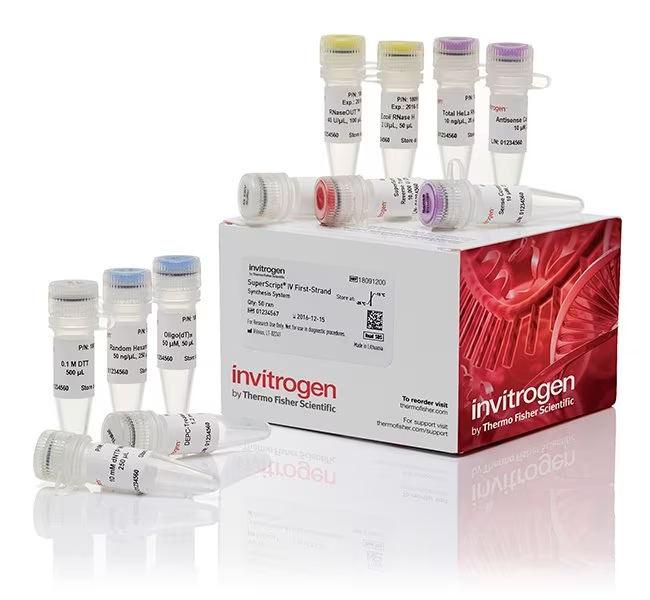 انواع کیت ها و مواد سنتز CDNA