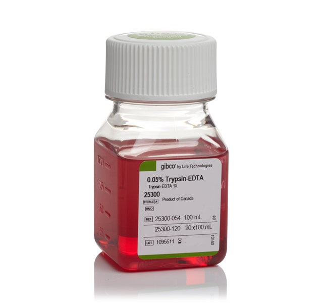 انواع آنزیم های کشت سلولی