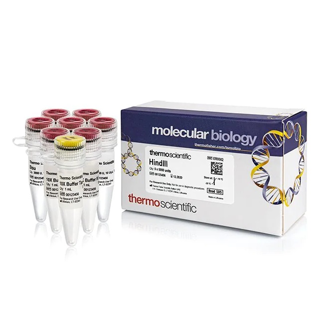 انواع آنزیم های برشی یا محدود کننده